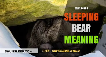 Why You Shouldn't Poke a Sleeping Bear