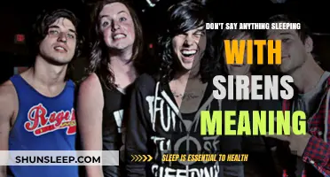 Sleeping with Sirens: The Meaning Behind "Don't Say Anything