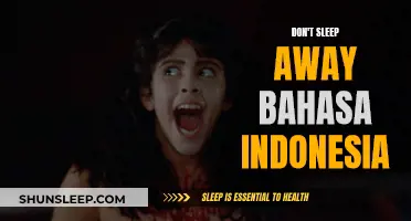 Keep Bahasa Indonesia Alive: Avoid the Language Slumber