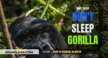 Gorilla Alertness: The Secret to Success?