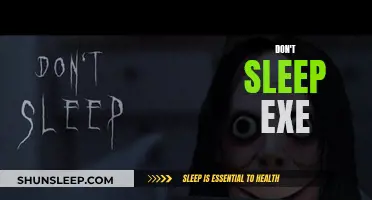 The Power Nap: Exe Sleep Solution