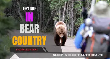 Bear Country Camping: Stay Awake, Stay Alive