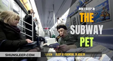 Subway Pet Naps: Owners, Stay Alert!