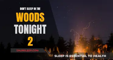 A Chilling Night: Surviving the Woods in Don't Sleep