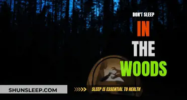 Stay Safe: Avoid Sleeping in the Woods