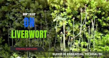 Liverwort: The Unsung Hero of Herbal Medicine