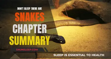 A Linguistic Adventure in the Amazon: Don't Sleep, There Are Snakes!