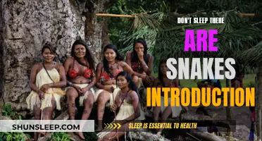 A World of Snakes: An Introduction to the Unknown