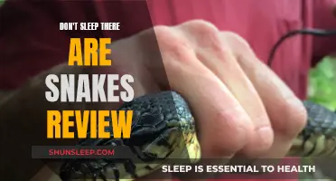 A Linguistic Odyssey: Don't Sleep, There Are Snakes