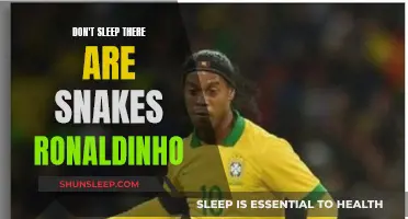 Ronaldinho's Adventures: Snakes and Sleep Stories