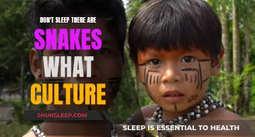 The Amazon's Hidden Tribes: A Cultural Adventure