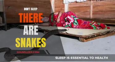 The Deadliest Snakes: A Warning to Stay Awake