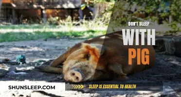 Sleeping with Pigs: A Recipe for Disaster