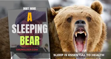 The Sleeping Bear's Fury: A Cautionary Tale