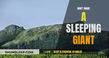 The Sleeping Giant: A Force to be Feared