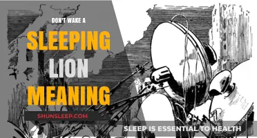 The Sleeping Lion: A Warning Against Disturbing Peace