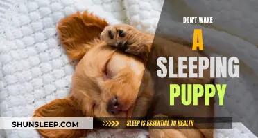 The Sleeping Puppy's Peace: A Guide to Puppy Care