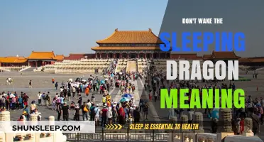The Sleeping Dragon: A Warning to the Wise