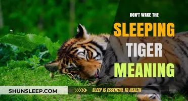 The Sleeping Tiger: A Warning to the Wise