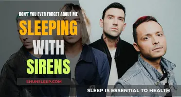 Sirens' Song: Sleeping With Sirens, a Memorable Experience