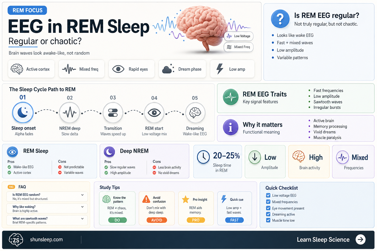 are eeg pattern regular during rem sleep