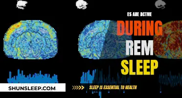 The Active Mind During REM Sleep