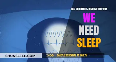 Scientists Uncover the Mystery Behind Sleep