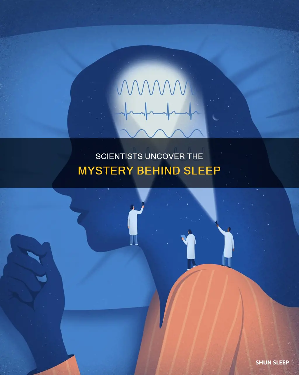 has scientists discovered why we need sleep