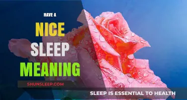 Sleep Better, Live Better: Understanding 'Have a Nice Sleep