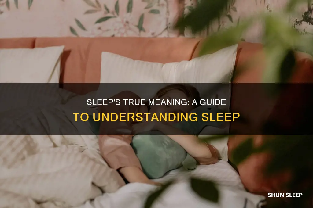 have a sleep meaning