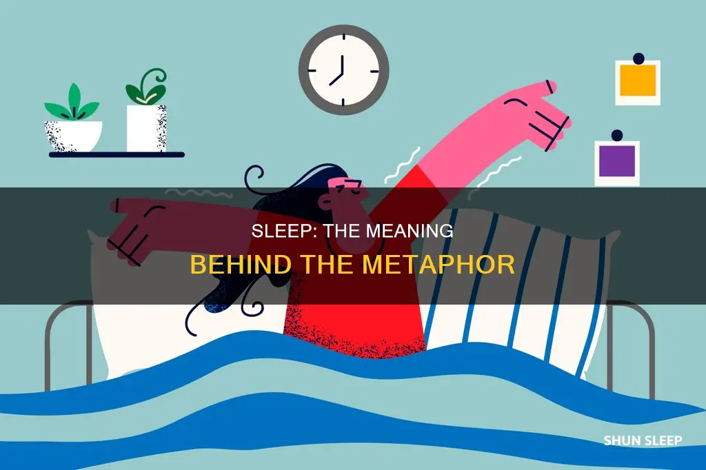have some sleep meaning