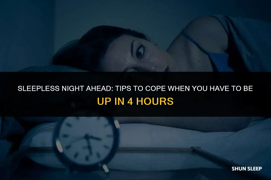 have to be up in 4 hours can