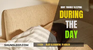 Daytime Sleep: A Challenge for Night Owls