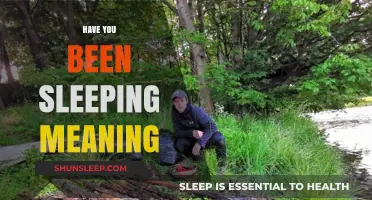 Understanding the Meaning Behind "Have You Been Sleeping