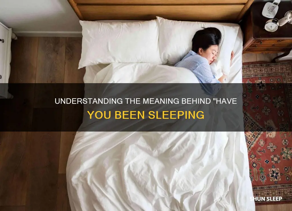 have you been sleeping meaning