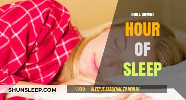 Exploring the Mysteries of Hora Somni: The Hour of Sleep