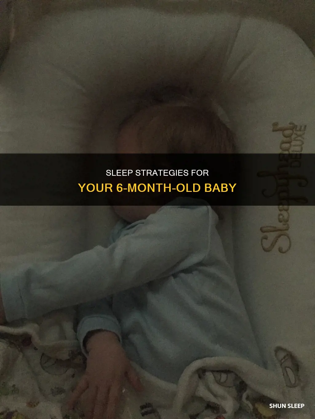 how 6 month old should sleep