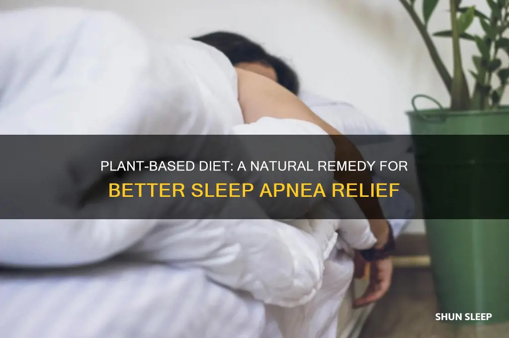 how a plant based diet can help in sleep apnea
