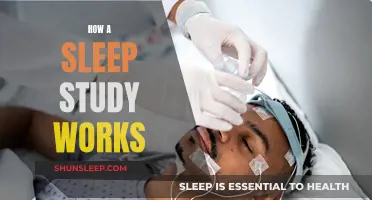 Sleep Study: Understanding the Science of Sleep