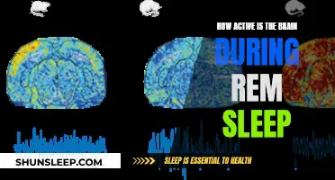 Brain Activity During REM Sleep: An Intriguing Mystery