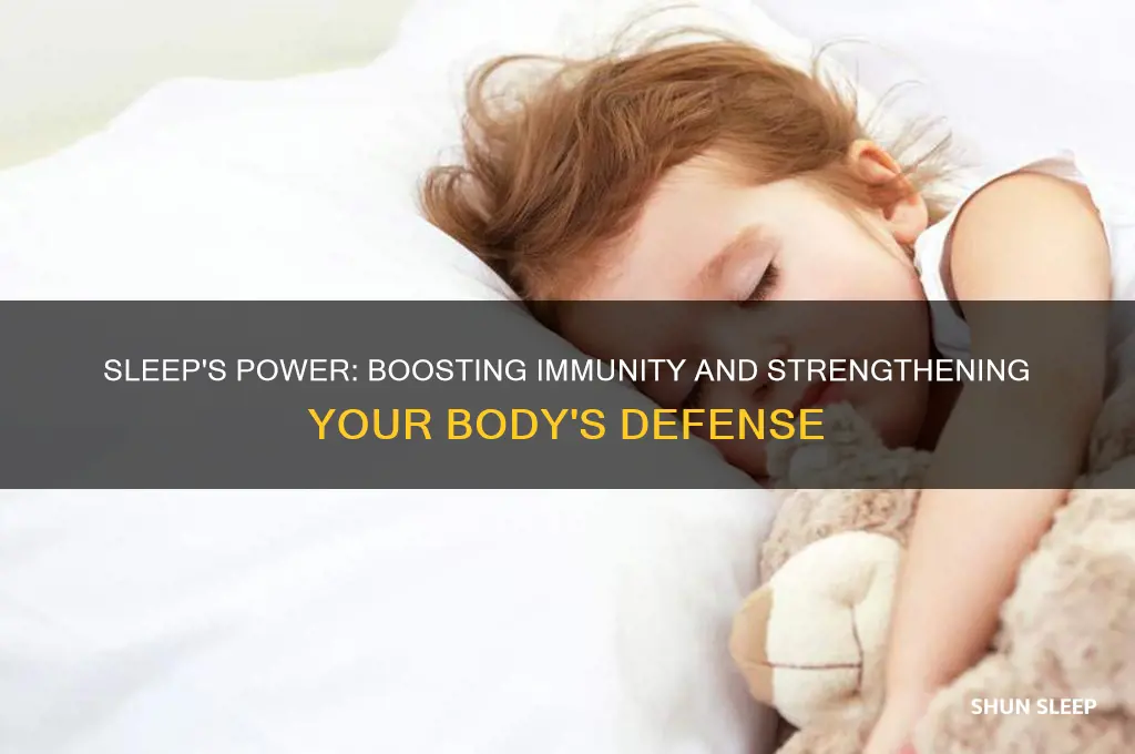 how an sleep help with immune system