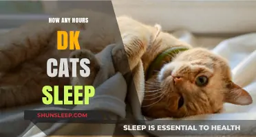Understanding Feline Slumber: How Many Hours Do Cats Sleep?