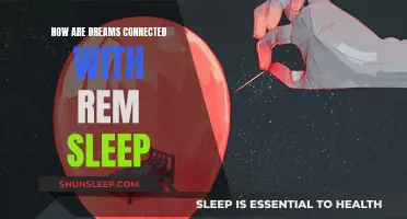 The Link Between Dreams and REM Sleep Explained