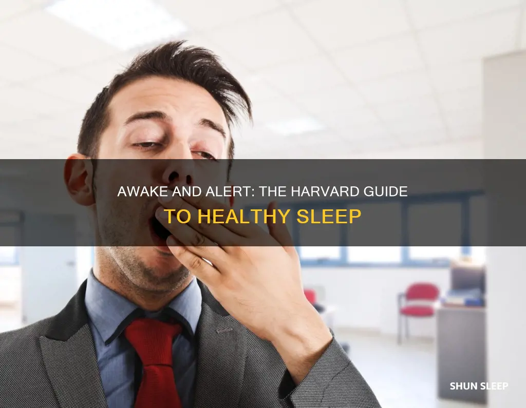 how awake are you i need sleep harvard healthy sleep