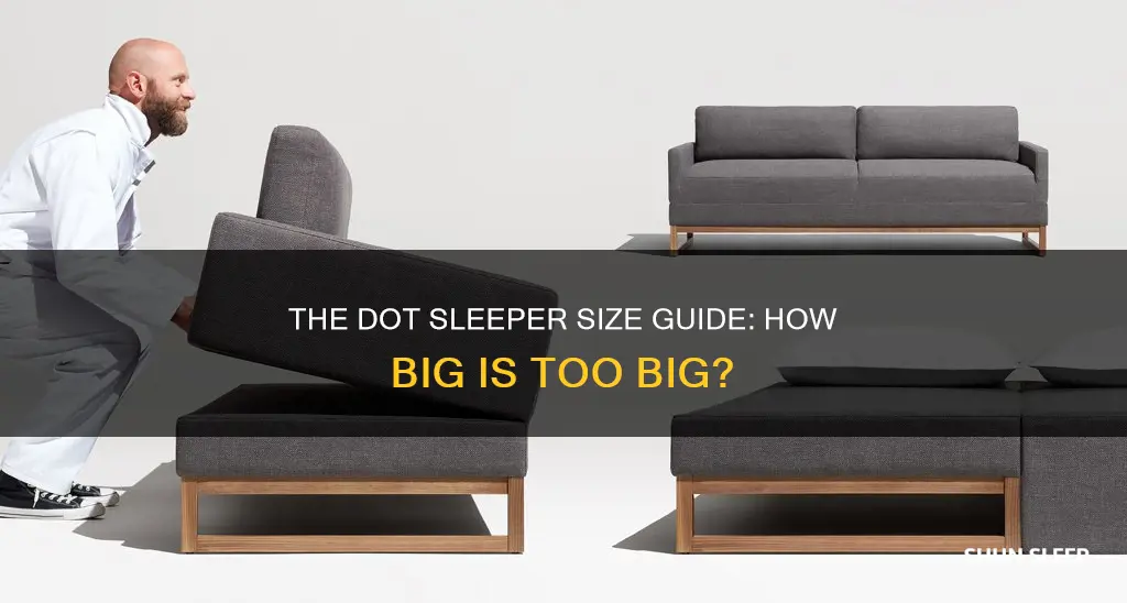 how big does dot sleeper need to de