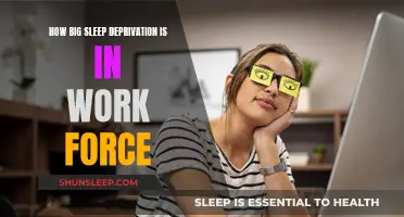 Sleep Deprivation: A Workforce Epidemic