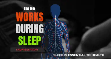 The Body's Sleep Mode: A Guide