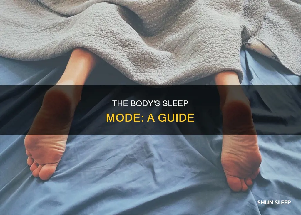 how body works during sleep
