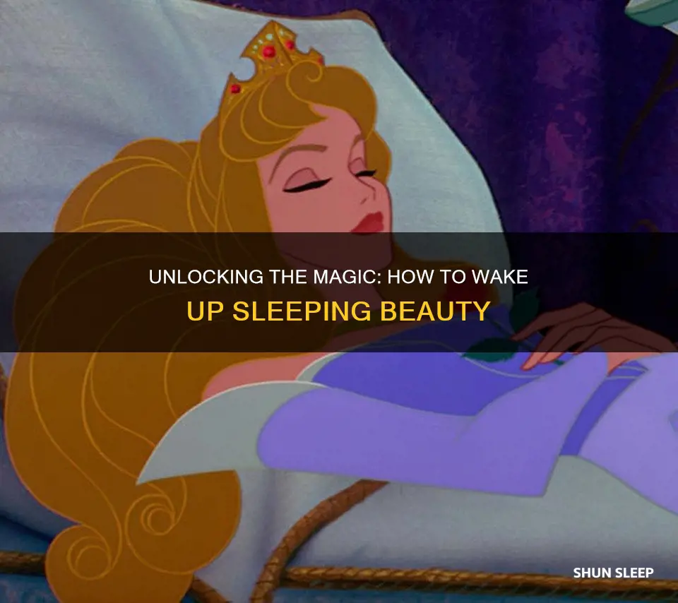 how book sleeping beauty wake up