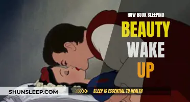 Sleeping Beauty: The Mystery of Her Awakening